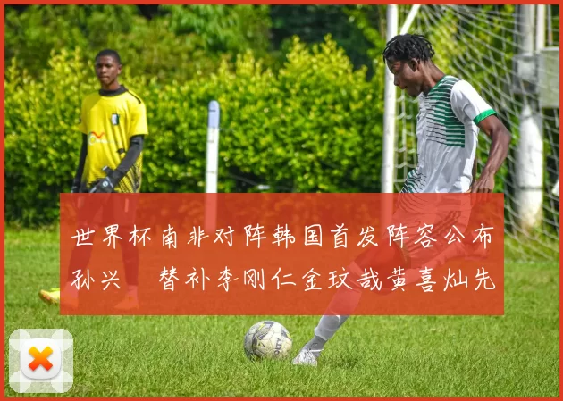 世界杯南非对阵韩国首发阵容公布孙兴慜替补李刚仁金玟哉黄喜灿先发
