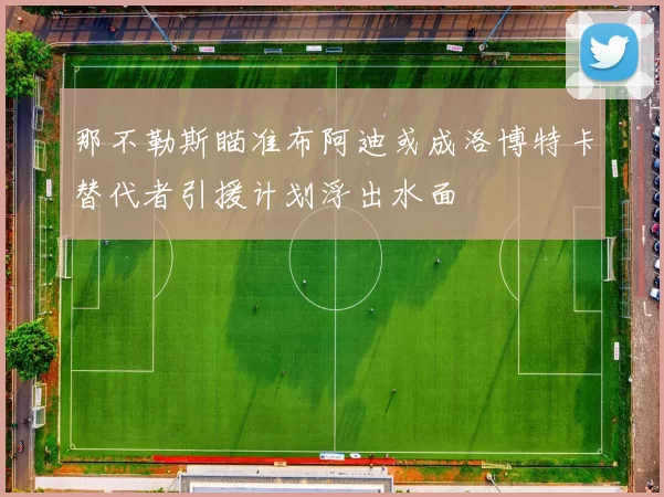 那不勒斯瞄准布阿迪或成洛博特卡替代者引援计划浮出水面